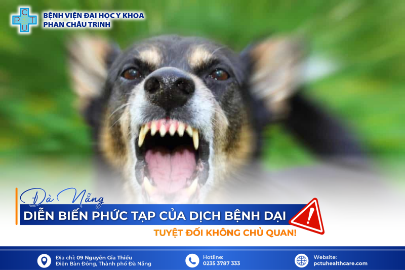 Dich_benh_dai_tai_DN_-_VN