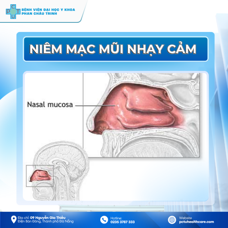 VI_SAO_TRE_EM_HAY_CHAY_MAU_MUI